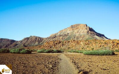 Senderismo en Tenerife: 7 mejores rutas