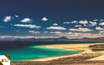 Qué ver y hacer en Fuerteventura