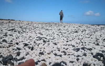 Playa de las Palomitas Fuerteventura