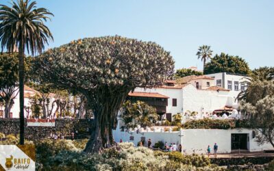 Que ver en Icod de los Vinos, Tenerife y Que hacer: guía completa