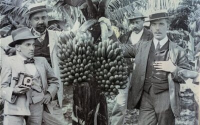 Cuánto cuesta la Casa del Plátano: precios, horarios y cómo visitar la famosa finca de Tenerife